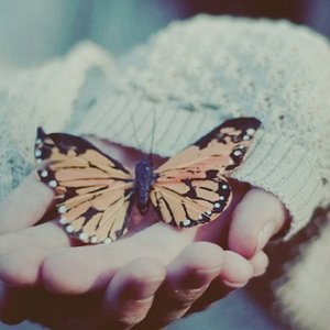 特级黄色片视频
